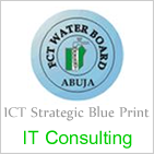 IT Consulting  - Case Study