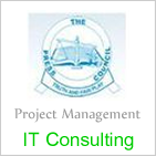 IT Consulting  - Case Study